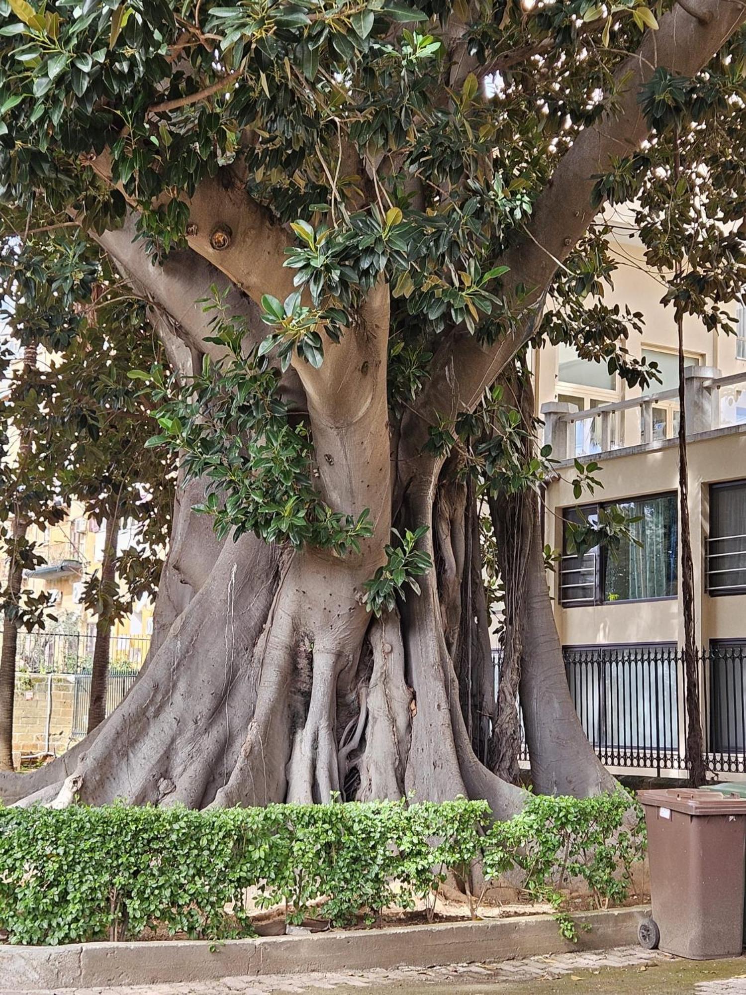 casa porta nuova Palermo Exterior foto